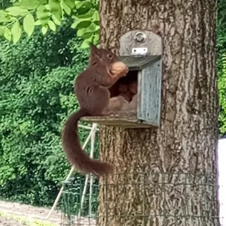 L Insolite Du Séjour à la campagne Seuzey