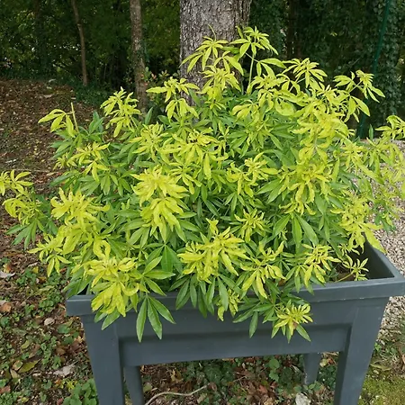 Séjour à la campagne L Insolite Du Seuzey