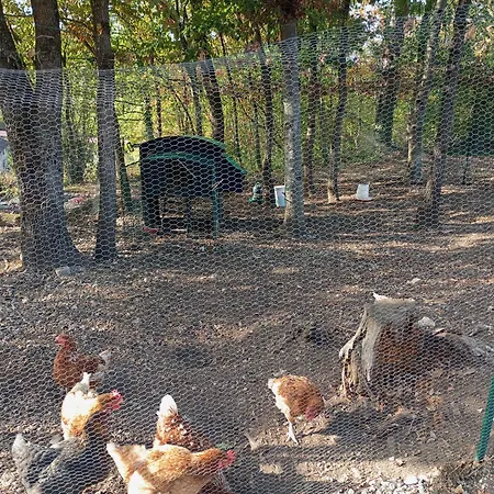 Séjour à la campagne L Insolite Du Seuzey