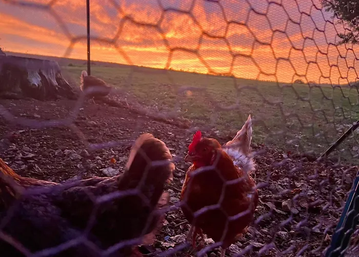 乡村民宿 L Insolite Du