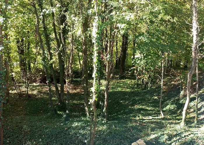 L Insolite Du בית כפרי *